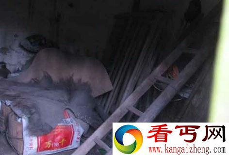 重庆红衣男孩灵异事件 到底是他杀还是自杀