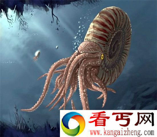 这么多年 其实你一直在喝其他生物的尿