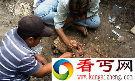 仔细清理头骨