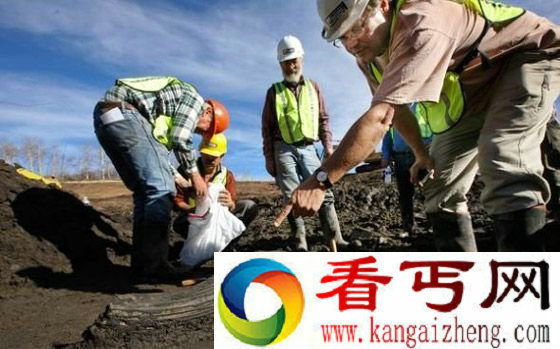 冰河时代的头骨
