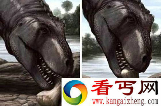 特暴龙