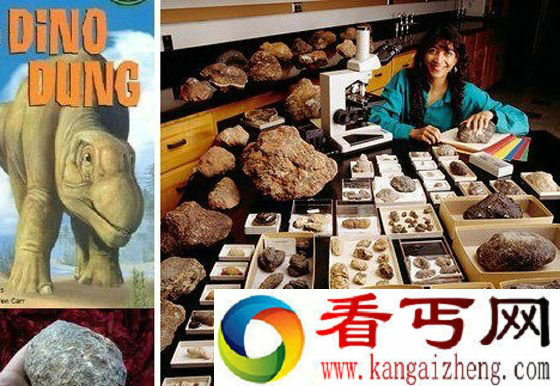 古生物学家在分辨出粪化石