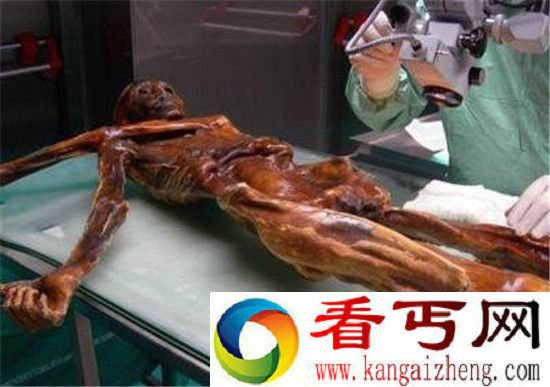 千年木乃伊暗藏古老诅咒 研究人员相继惨死
