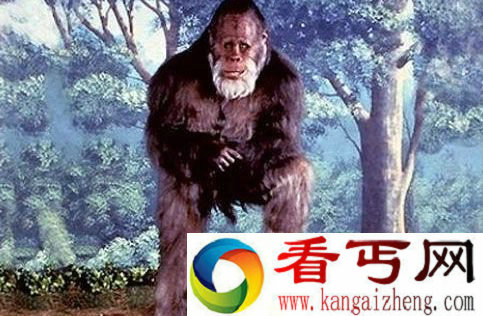 大脚野人