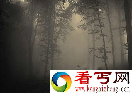 叶甫盖尼历险