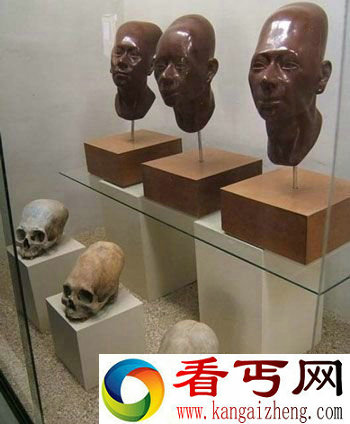 细长头骨