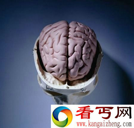 人脑