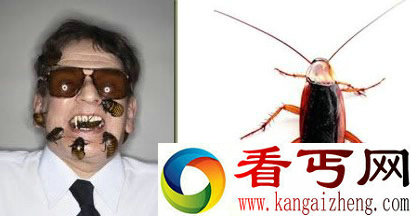 吃蟑螂最多