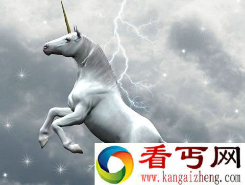 独角兽