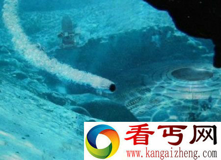 南极