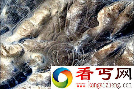 图案