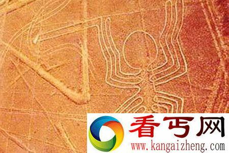 跑道?
