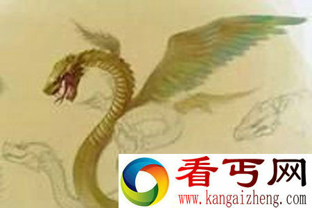 来自圣彼得堡的旅游者克洛科夫突然失踪。