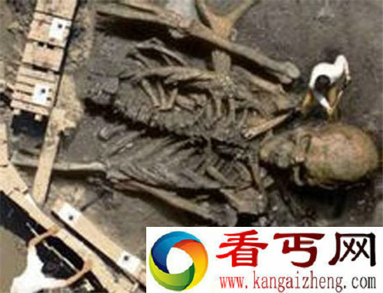 世界真正的主宰 远古巨人统治地球