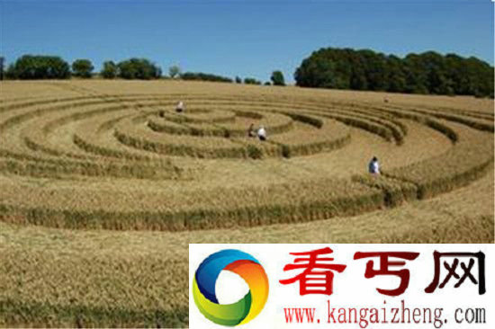 麦田怪圈成因 是时空混乱的产物？