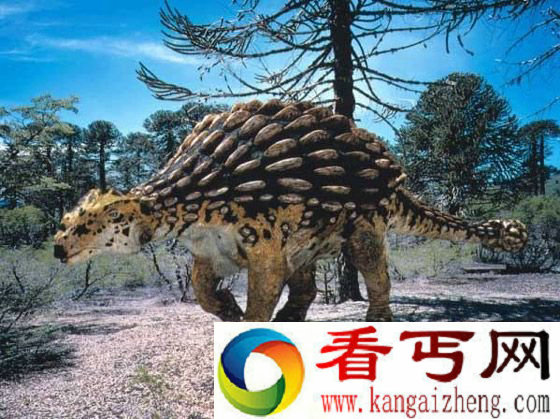 背甲龙