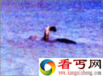 尼斯湖水怪