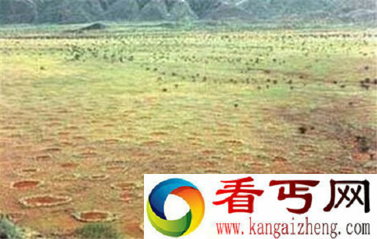 动物十大未解之谜 麦田怪圈或由袋鼠造成?