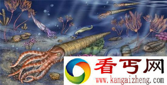 寒武纪生命大爆发 诞生的那些神奇物种