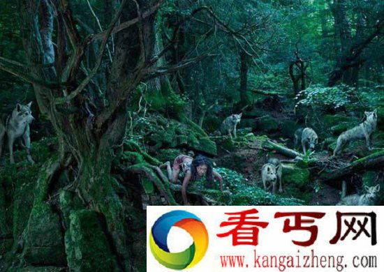 兽孩14个被动物养大的悲惨人类