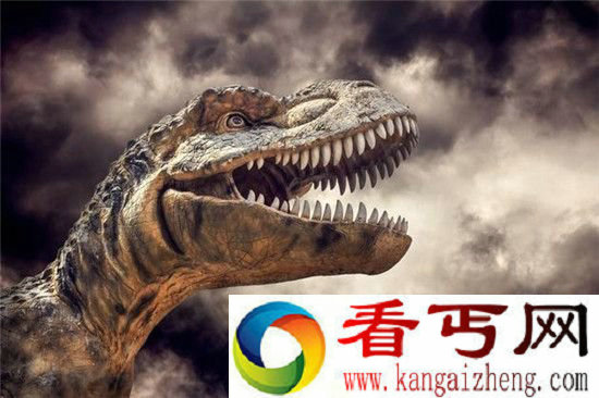 克隆恐龙无望 人类从未获得过恐龙的DNA!