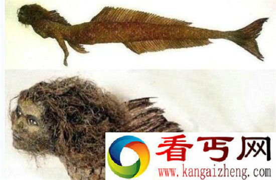 世界上有美人鱼吗?美人鱼真身吓死渔民