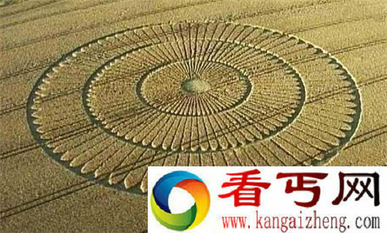 麦田怪圈真相四维物体在三维世界中的投影