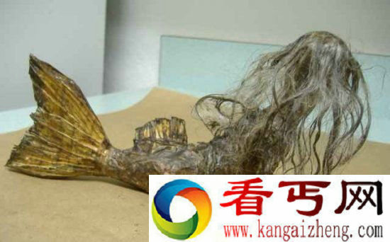 黑鲮鲛人恐怖传说 美人鱼真相