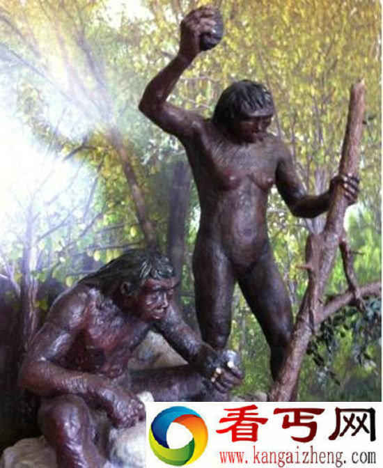 人类进化再添新说 竟和狐狸只差一环