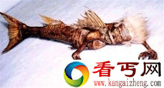 中国十大遭封杀神秘事件 青海发现外星人基地