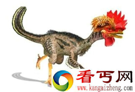 通过基因逆转 科学家可以让鸡变恐龙?