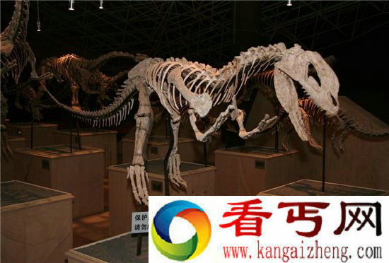 史前巨兽恐龙的360°复原简直逆天了！