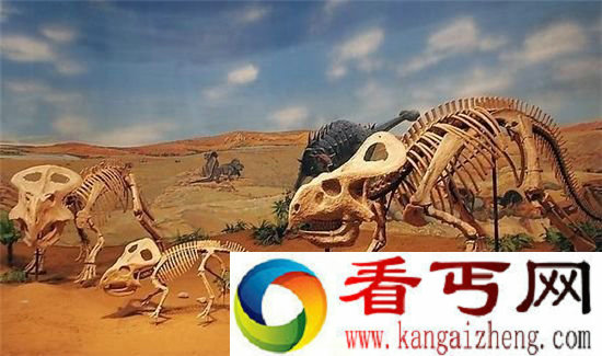 史前巨兽恐龙的360°复原简直逆天了！