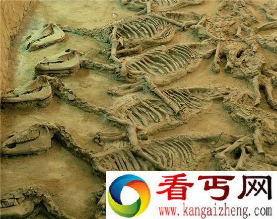 史前巨兽恐龙的360°复原简直逆天了！