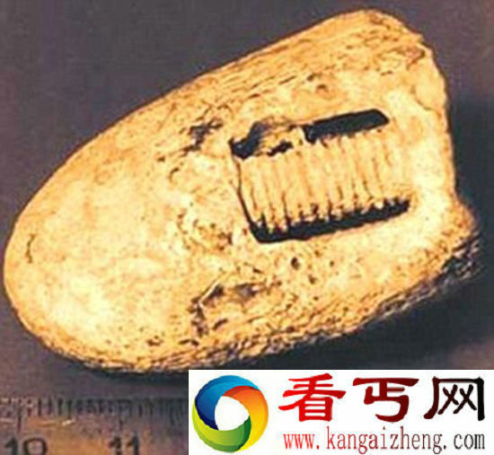 史前文明谣言破解3亿年前螺丝钉只是普通化石