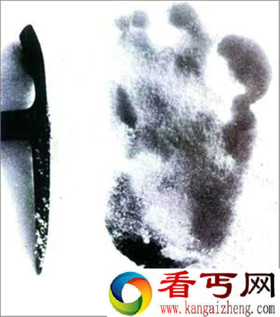 全球十大怪物盘点喜马拉雅雪人半人半猿?