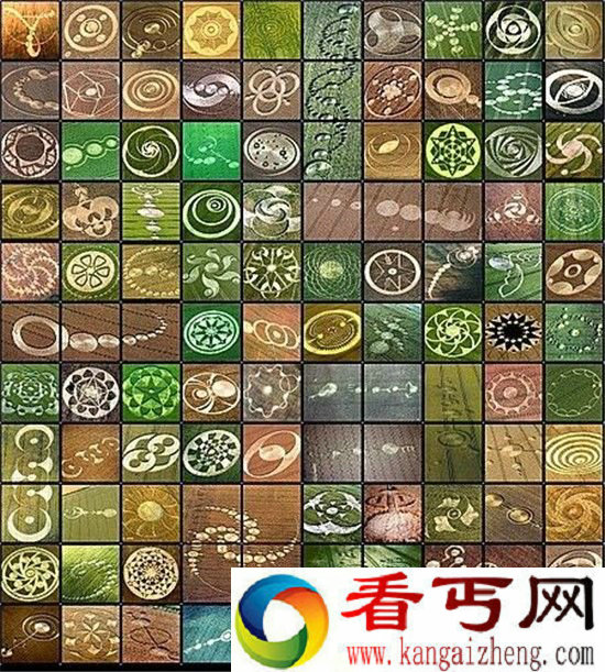 各国麦田怪圈信息汇总 形成之谜有望解开