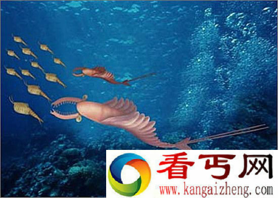 5.4亿年前生物进化 或导致寒武纪生命大爆发