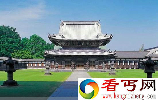 中国龙标本被收藏于日本寺庙 是真是假?