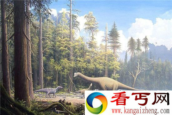生物灭绝之谜 海洋酸化或导致地球史上最大规模物种灭绝