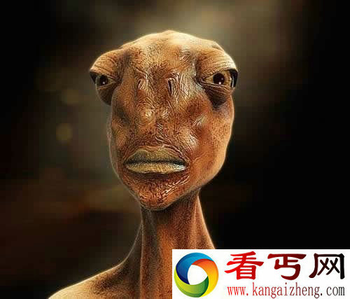 地球竟遍布外星人 低等外星生命随处可见