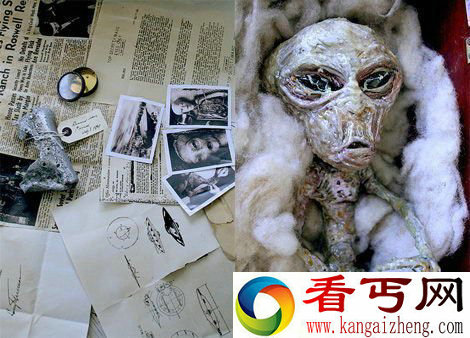 地球竟遍布外星人 低等外星生命随处可见