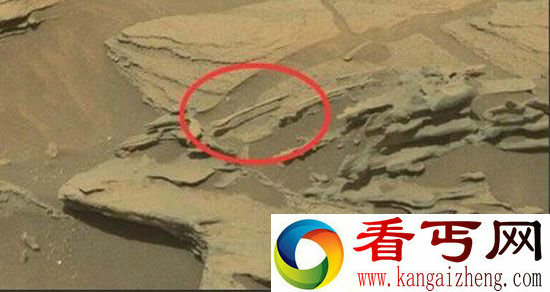 火星疑现啮齿动物
