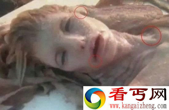 世界上真的存在美人鱼吗？