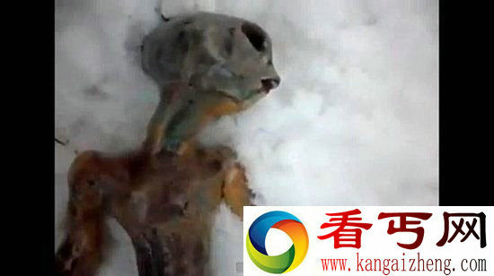 地球神秘生物不只是外星人