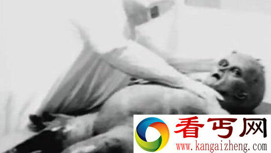 地球神秘生物不只是外星人
