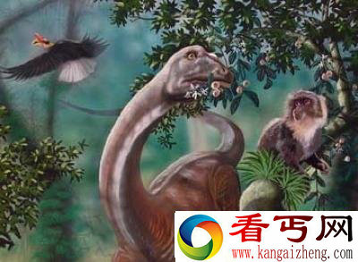 世界十大未解之谜 图片详解神秘事件