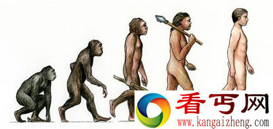 人类的发源地是东非？