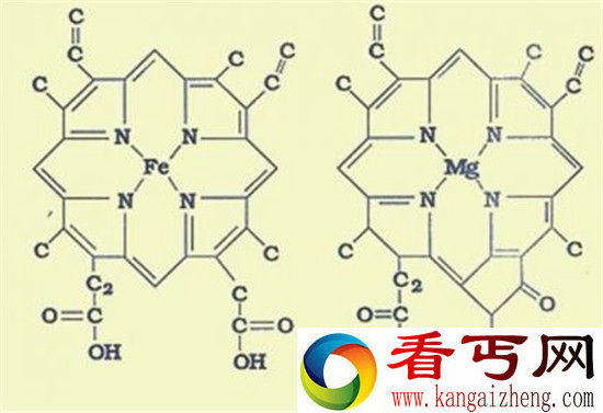 不可思议的血液变透明之谜