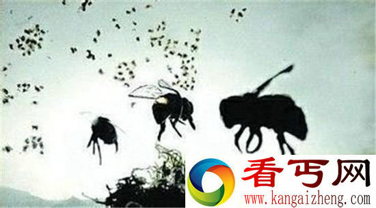 蜜蜂灭亡或引发蝴蝶效应毁灭地球 外星人趁机入侵